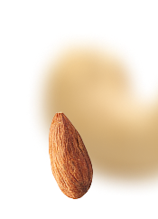 Image de groupe