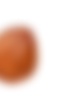 Image de noisette