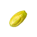 Image de noisette