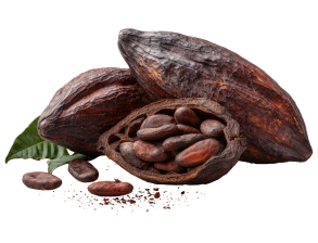 Cacao