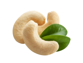 Noix de cajou