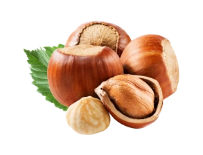 Noisette