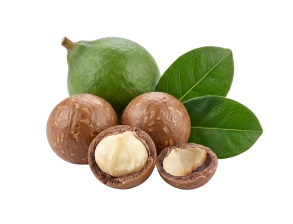 Noix de macadamia
