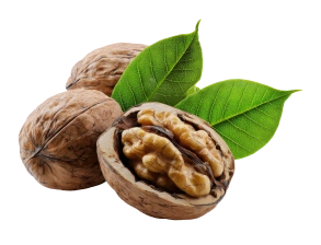 Noix