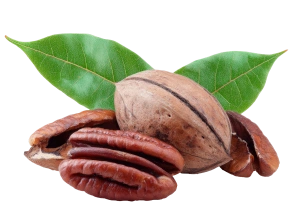 Noix de pécan