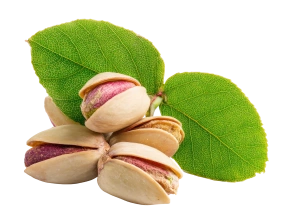 Pistache